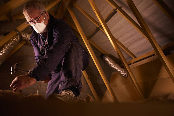 Best Geographic-Specific Insulation Services in Wilson, WY